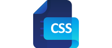 css 