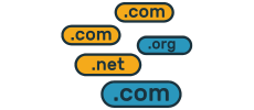 domain names 